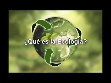 Qu Es La Ecolog A Qu Es El Medio Ambiente Ecologismo