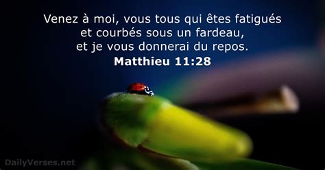 Matthieu Verset De La Bible Dailyverses Net