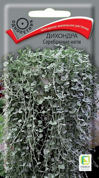 Дихондра Серебряные Нити семена - низкая цена, описание, отзывы, продажа
