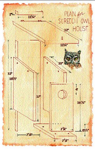 DIY Screech Owl Nest Box - petdiys.com