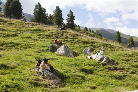 El Parque Nacional Austriaco Hohe Tauern Tierra De Gigantes Fascinantes