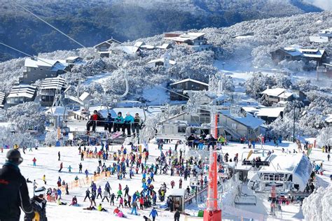 Mt Buller Ski Resort Ski Resorts Australia Mountainwatch