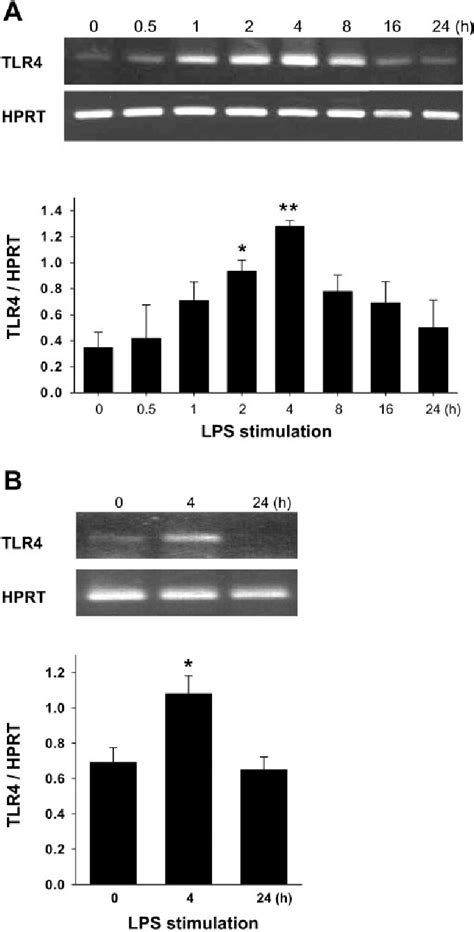 Figure 1 From Inducible Binding Of Pu1 And Interacting Proteins To The