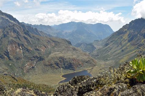 Trekking Rwenzori Mountains, Uganda Stock Image - Image of rwenzori ...