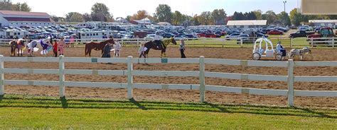 Fairfield County Fair | The last and best of the year