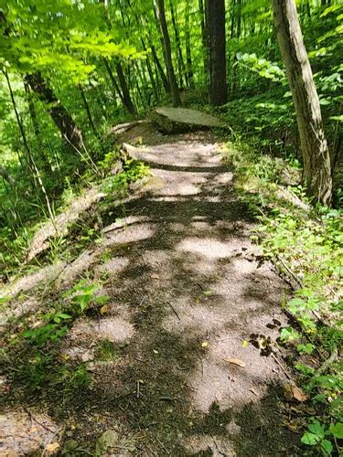 Best Partially Paved Trails In Irwin Alltrails