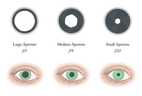 Anatomy — Beautiful Vision Project
