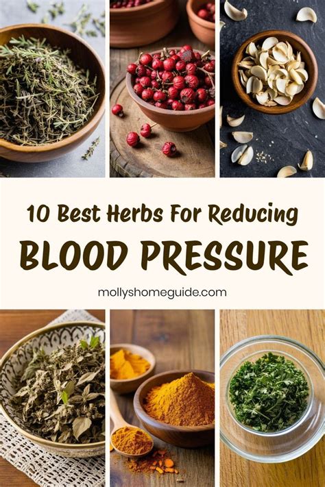 10 Best Herbs For Reducing Blood Pressure In 2024 Low Blood Pressure