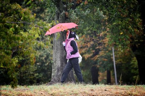 Vremenska Prognoza Za Novembar Jako Zahla Enje U Srbiji