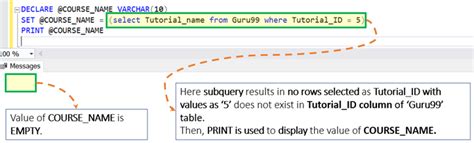 Sql Server Set Table Name Variable Cabinets Matttroy