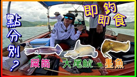 魷魚刺身 即釣即食 大尾魷 屎筒 墨魚 點分別 釣魚是不是運動 YouTube