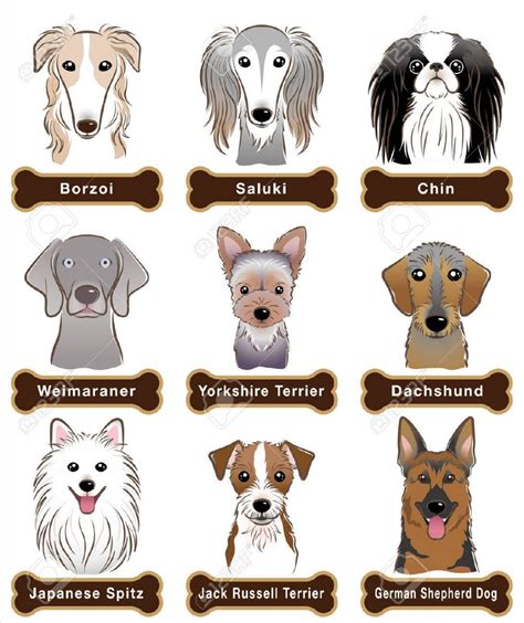 Perro Placa Perros En Caricatura Perros Razas De Perros