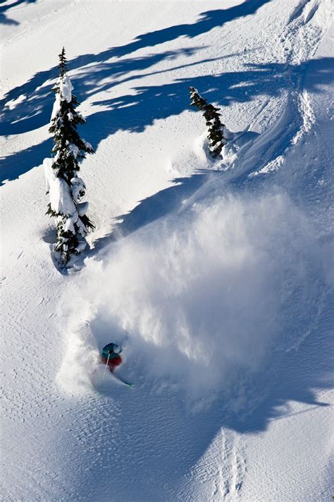 Fresh Tracks | Snow skiing, Ski culture, Heli skiing