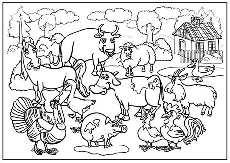 Desenhos Para Colorir De Fazenda Tipsscape