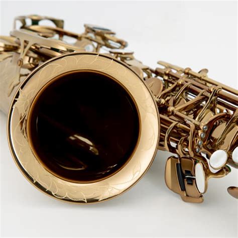 Chenonceau Alto Cognac Saxophone Cas C Ch Teau