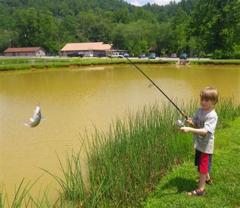 Jeff Samsel Fishing: The Catfish Pond