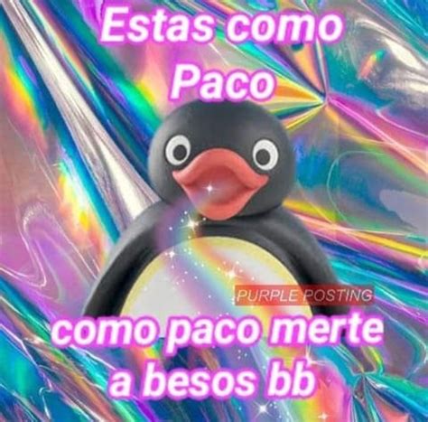 Memes Del Ping Ino Noot Noot Detodo De Todo Amreading Books