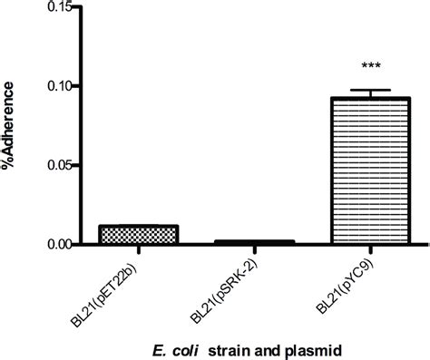 Adherence Potential Of R Conorii Adr2 Expressing E Coli Expression