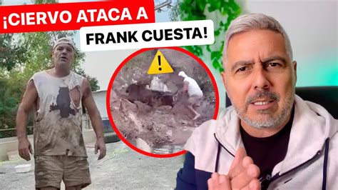 Frank Cuesta Es Atacado Por Un Ciervo Y Casi Pierde La Vida En Directo