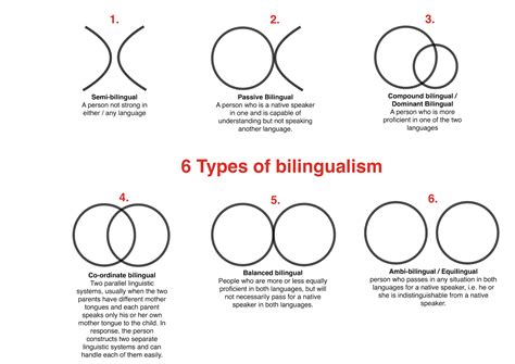 Heesungs Blog The 6 Types Of Bilingual