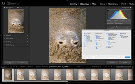 RAW Photo Workflow In Lightroom Part Two Creating Consistent Styles