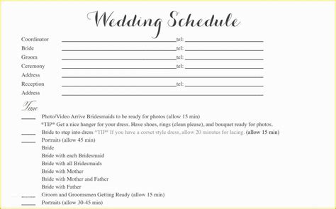 Wedding Weekend Itinerary Template Free Of Great Wedding Schedule ...