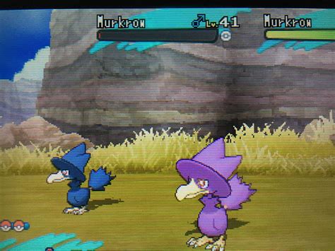 [7] Shiny Murkrow :) : r/ShinyPokemon