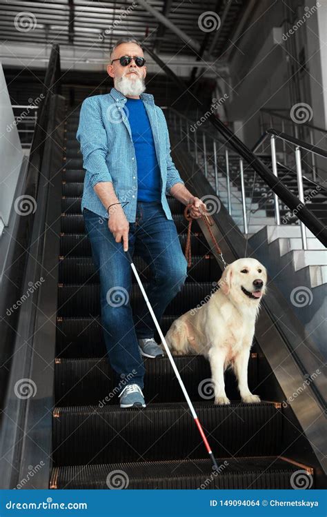 Persona Ciega Con El Bast N Y El Perro Gu A Largos En La Escalera M Vil