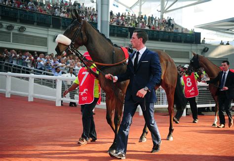 Singapore announces end to horse racing after 180 years as last course ...