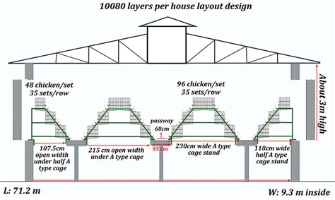 Poultry House Design Of 5000 Layer With Chicken Cage, 46% OFF