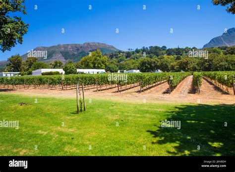Stellenbosch Winery Cape Town South Africa Stock Photo Alamy
