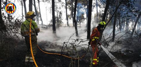 El Incendio De Oliva Afecta A Hect Reas De Masa Forestal Y