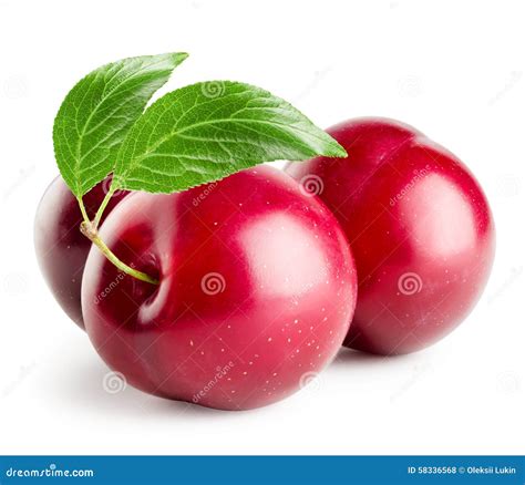 Three Plums With Leaf Stock Photo Image Of Green Leaf 58336568