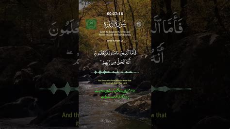 Surah Al Baqarah 2 سورة البقرة Verse 26 Qari Mishari Alafasy