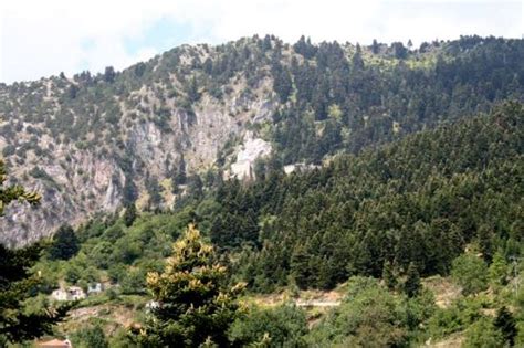 Karitsa Photos - Featured Images of Karitsa, Karditsa Region - Tripadvisor