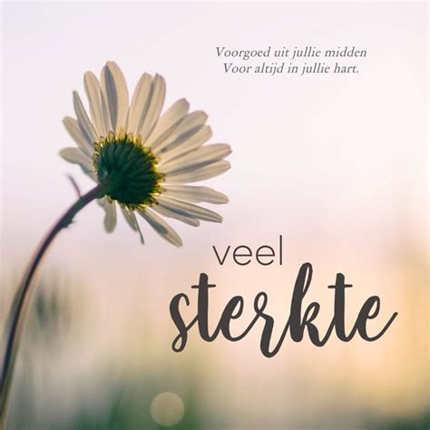 Condoleance Foto Bloem Veel Sterkte Kaartje2go