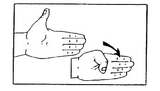 Hand Surgical Associates Boston - Exercise for Thumb Range of Motion