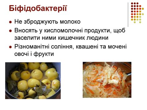 Презентація "Бактерії - найменші організми"