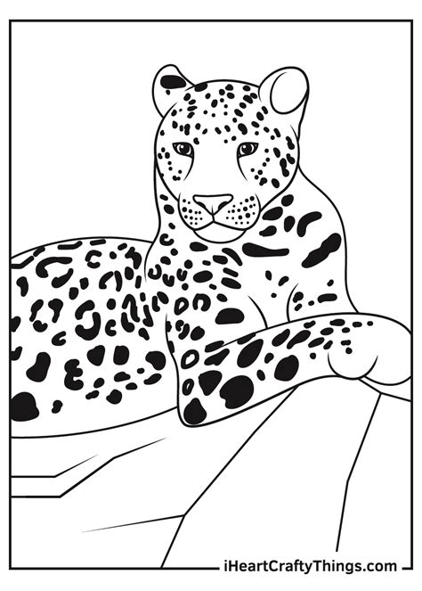 Cheetah Print Coloring Page