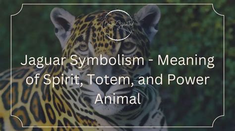 Jaguar Symbolism - Meaning of Spirit, Totem, and Power Animal - centerspirited.com