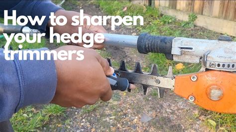 How To Sharpen Your Hedge Trimmer Blades The Easy Way Youtube