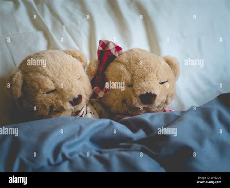 Two Teddy Bears In The Bed Teddy Bear Lovers Valentine Concept Two