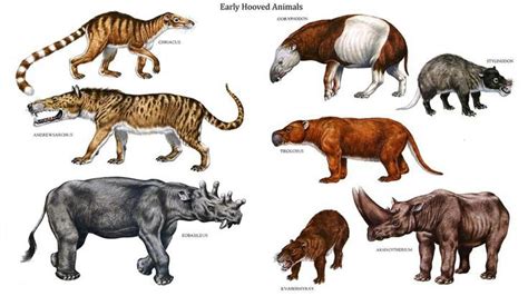 Prehistoric Animals Extinct Animals Prehistoric Wildlife