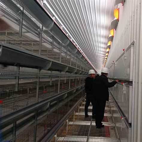 Egg Layer Laying Battery Broiler Cage In Cage Coop For Poultry