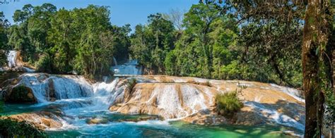 Premium Photo | Agua azul waterfalls in chiapas