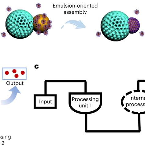 Janus Double Spherical MSN MPDA Nanoparticles With Tunable Large