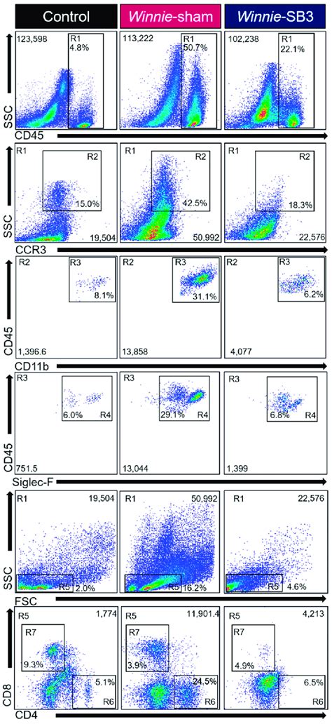 Gating Strategy Employed To Characterize Leukocytes Eosinophils And