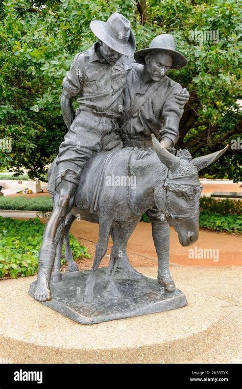 The famous bronze statue of a stretcher bearer, Private John Simpson ...