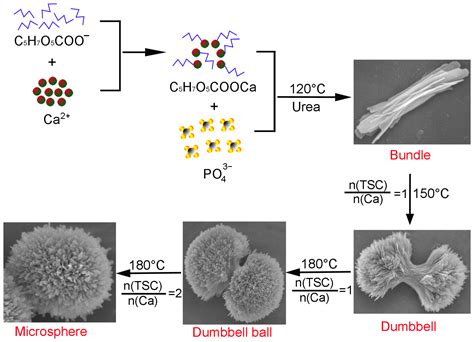 Crystals Free Full Text Citrate Assisted One Pot Hydrothermal Preparation Of Carbonated