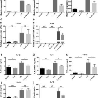 Interleukin IL 37 Inhibits The Expression Of Proinflammatory